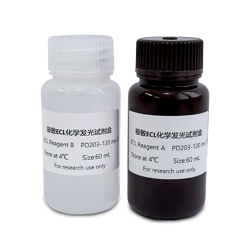 Oriscience Supersensitive ECL Kit