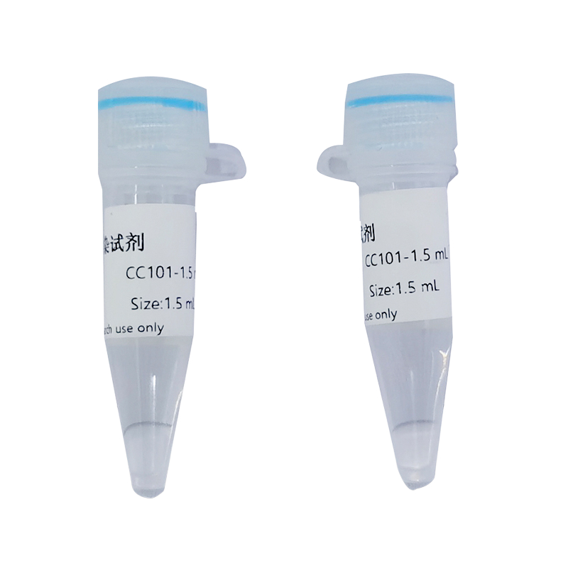 OriFect Transfection Reagent