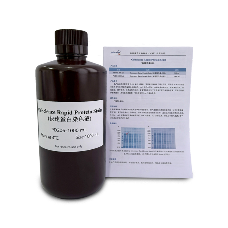 Oriscience Rapid Protein Stain