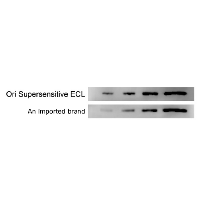 Oriscience Supersensitive ECL Kit