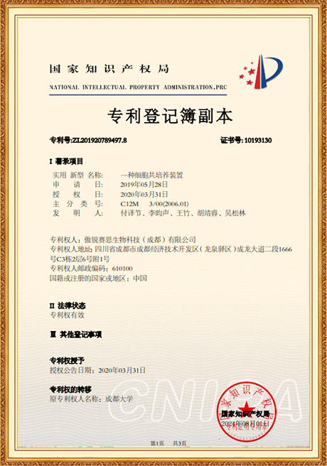 Certificate Of Honor
