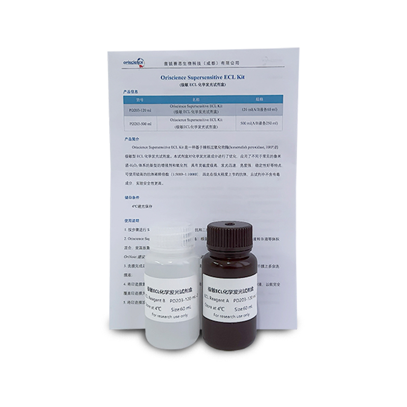 Oriscience Supersensitive ECL Kit