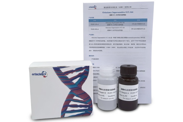 Ultra-Sensitive Luminescence Kit Improves The Detection Efficiency Of Low-Abundance Proteins