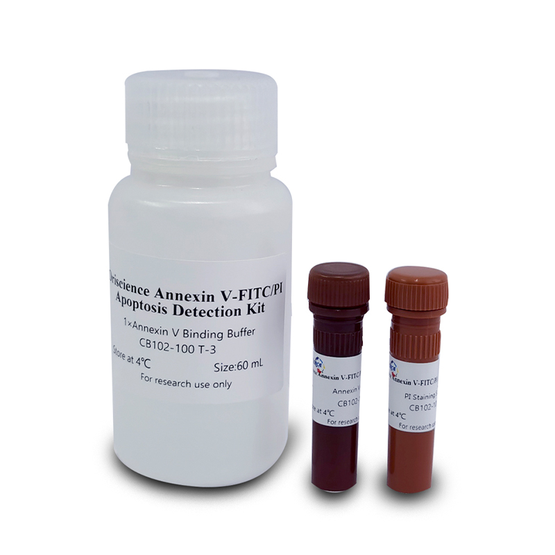 Oriscience Annexin V-FITC/PI Apoptosis Detection Kit