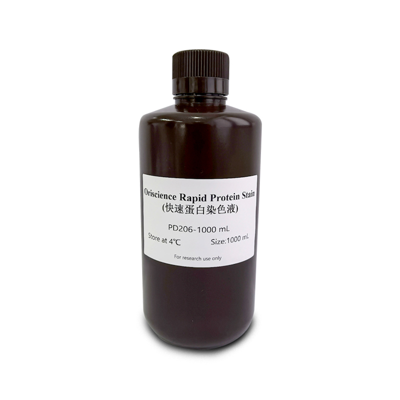 Oriscience Rapid Protein Stain