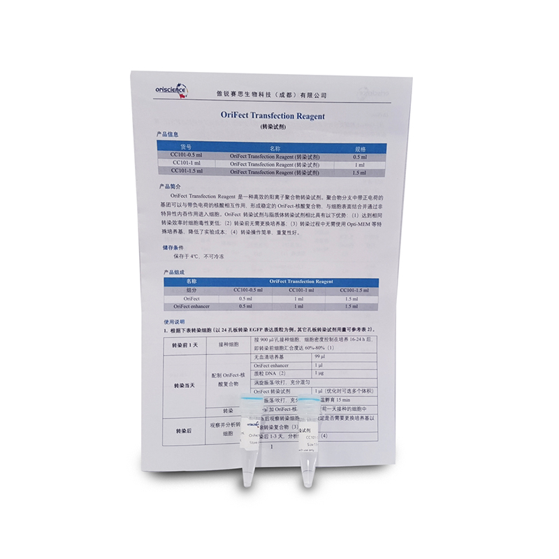 OriFect Transfection Reagent