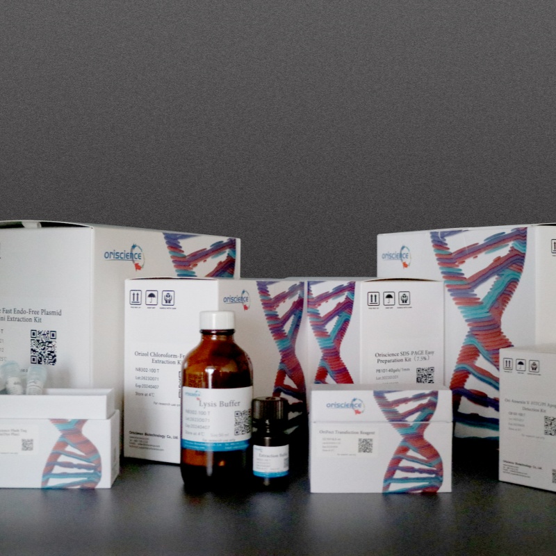 The Fully Automatic Filling Equipment Was Officially Put Into Production, And The Efficient Improvement Of Production Capacity Helped Promote The High-Quality Development Of Biological Research