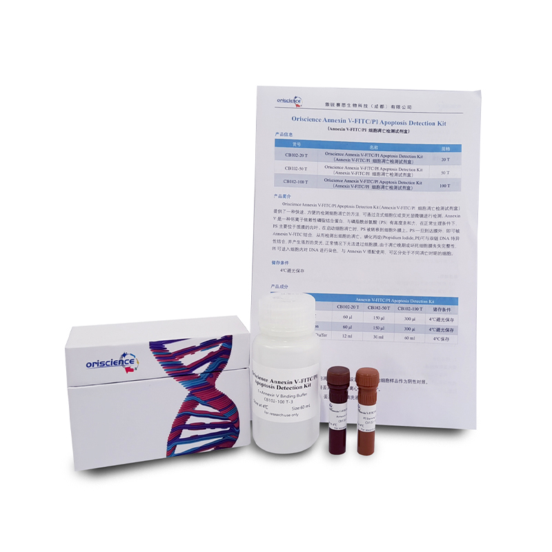 How does the oriscience annexin V-FITC/PI apoptosis detection kit achieve fast and accurate apoptosis detection by flow cytometry or fluorescence microscopy?