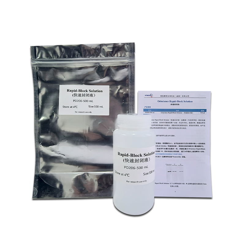 How does the oriscience rapid-block solution speed up the Western blot process?