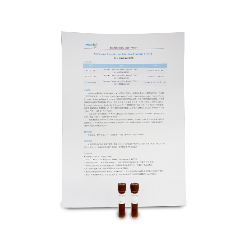 Oriscience Phosphatase Inhibitor Cocktail（100×）