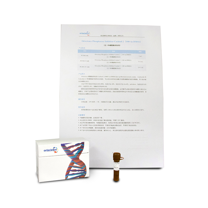 Oriscience Phosphatase Inhibitor Cocktail 2（100×in DMSO）