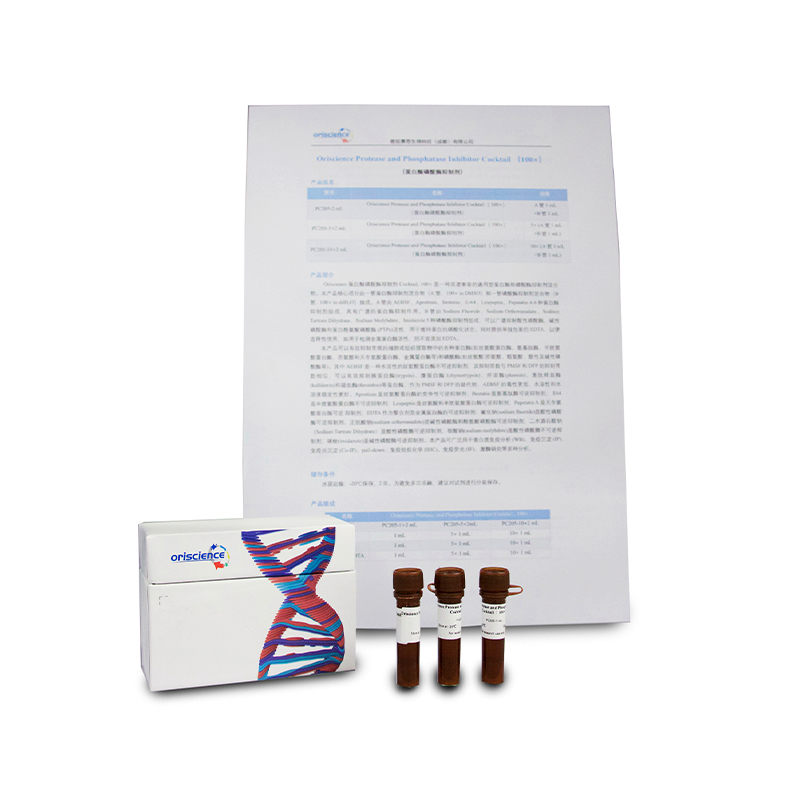 Oriscience Protease and Phosphatase Inhibitor Cocktail（ 100×） 