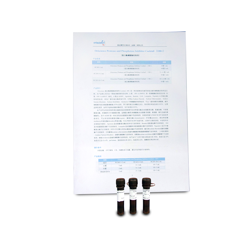 Oriscience Protease and Phosphatase Inhibitor Cocktail（ 100×） 