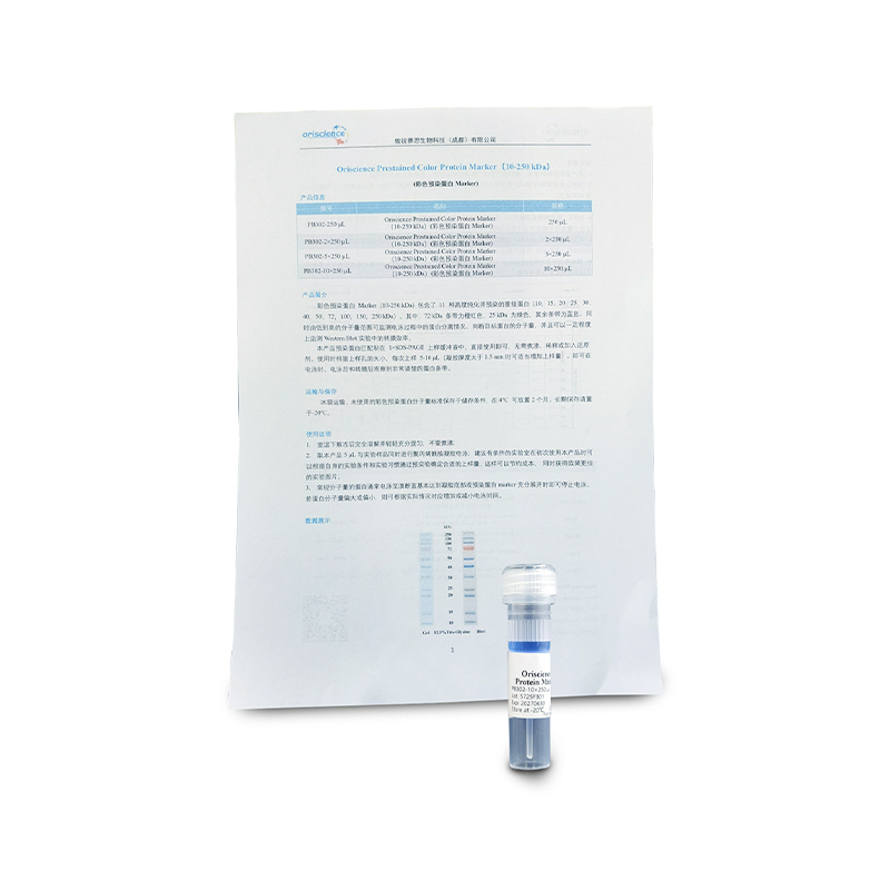 Oriscience Prestained Color Protein Marker (10-250 kDa)