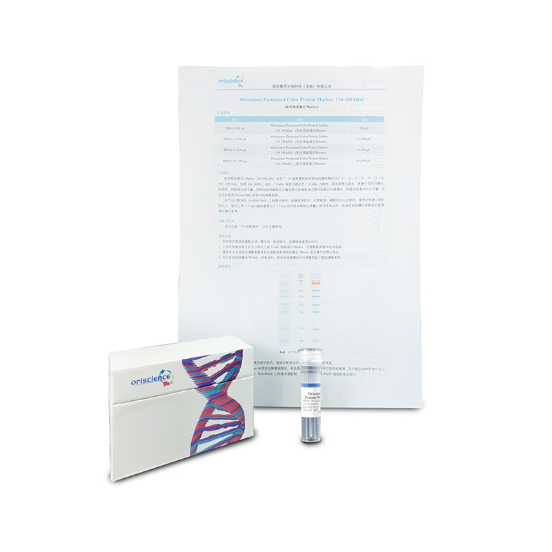 Oriscience Prestained Color Protein Marker (10-180 kDa)