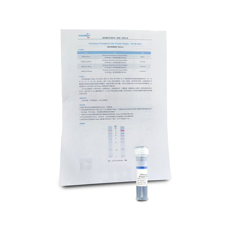 Oriscience Prestained Color Protein Marker (8-180 kDa)