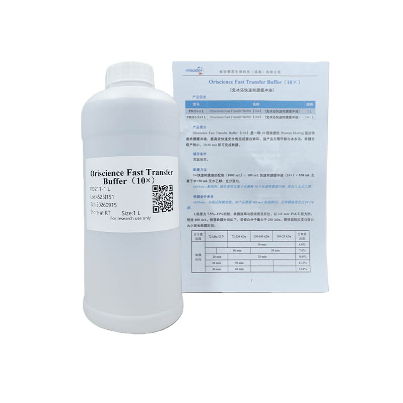 Oriscience Fast Transfer Buffer（10×）