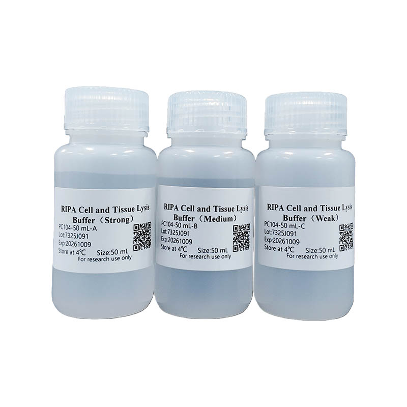 RIPA Cell and Tissue Lysis Buffer (Set)