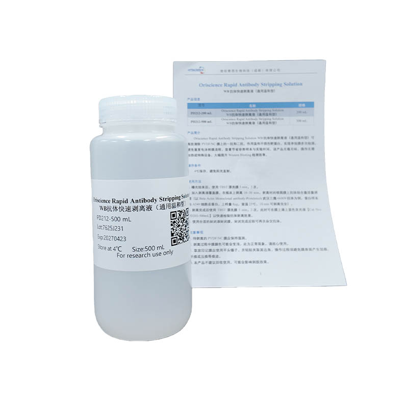 Oriscience Rapid Antibody Stripping Solution