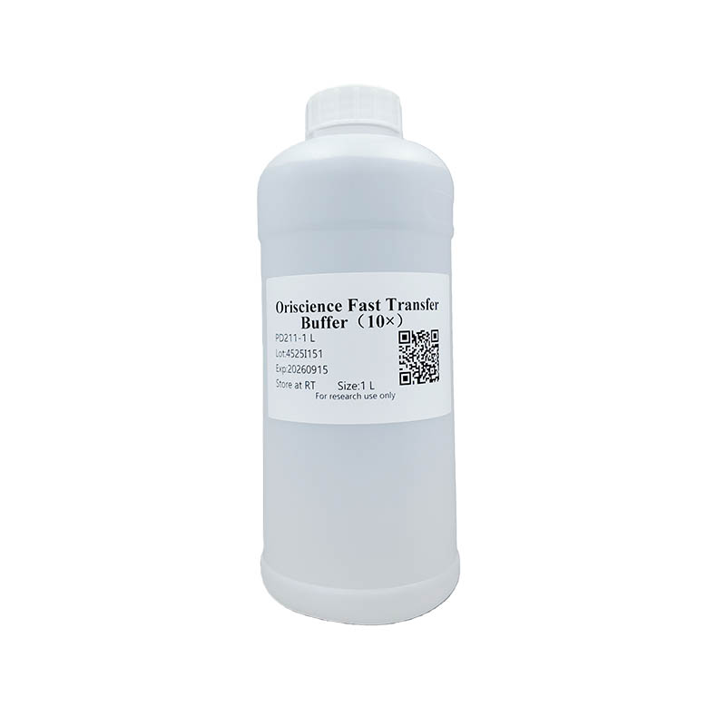 Oriscience Fast Transfer Buffer（10×）