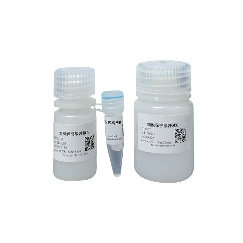 Mouse Lung Tissue Rapid Dissociation Kit