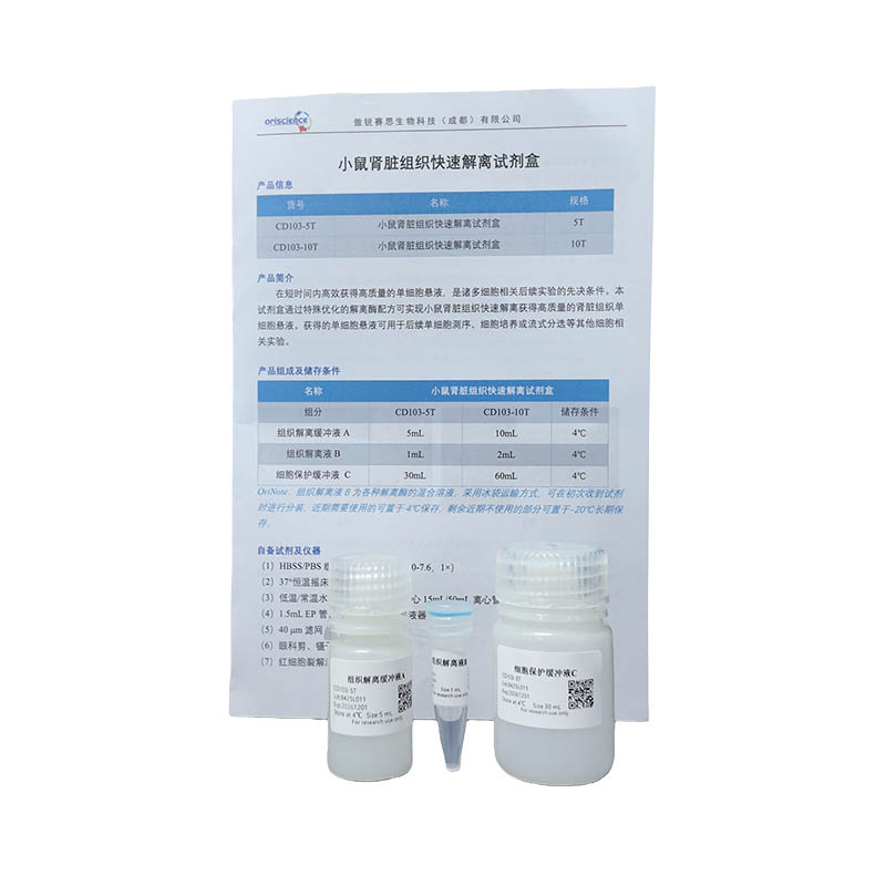 Mouse Kidney Tissue Rapid Dissociation Kit