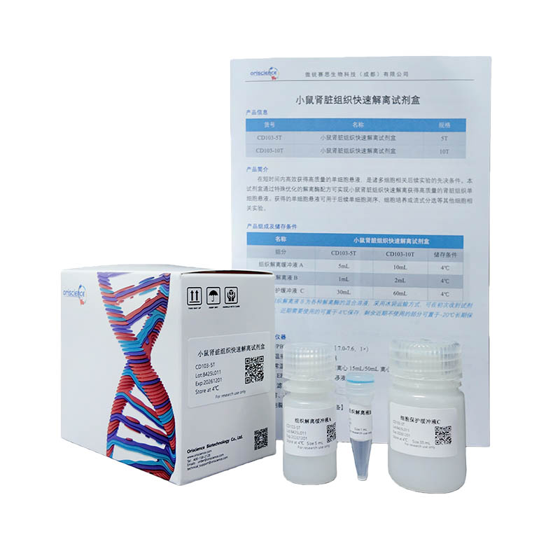 Mouse Kidney Tissue Rapid Dissociation Kit