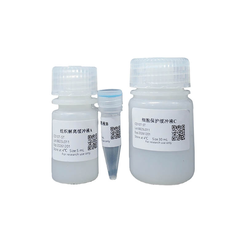 Mouse Colorectal Tissue Rapid Dissociation Kit