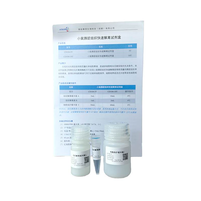 Mouse Pancreas Tissue Rapid Dissociation Kit