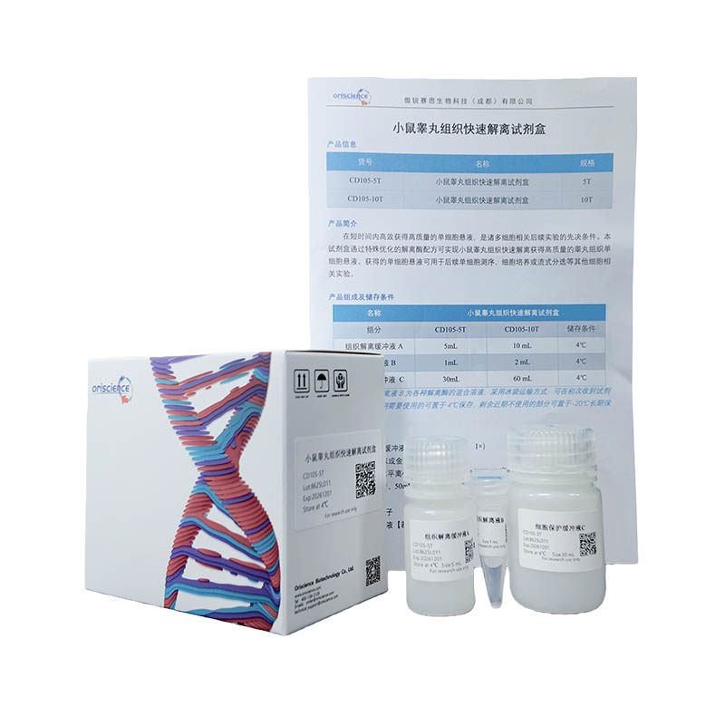 Mouse Testicular Tissue Rapid Dissociation Kit