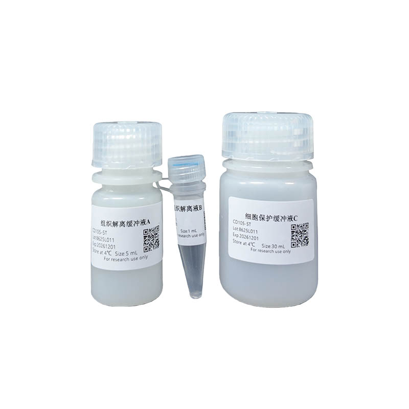 Mouse Testicular Tissue Rapid Dissociation Kit