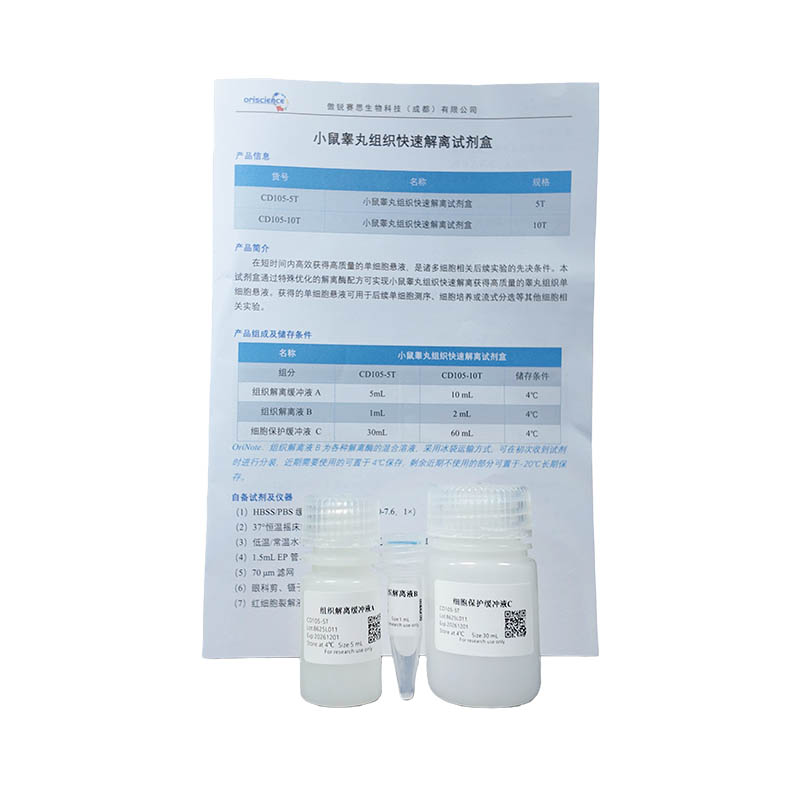Mouse Testicular Tissue Rapid Dissociation Kit