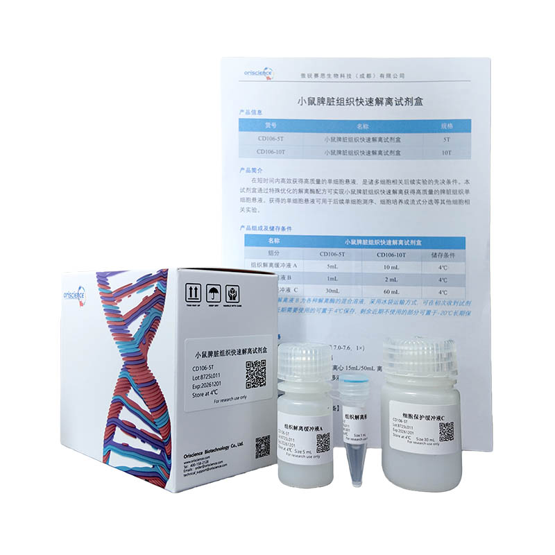 Mouse Spleen Tissue Rapid Dissociation Kit