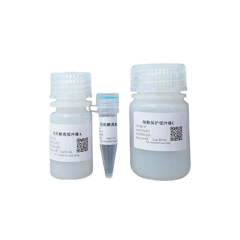 Mouse Spleen Tissue Rapid Dissociation Kit