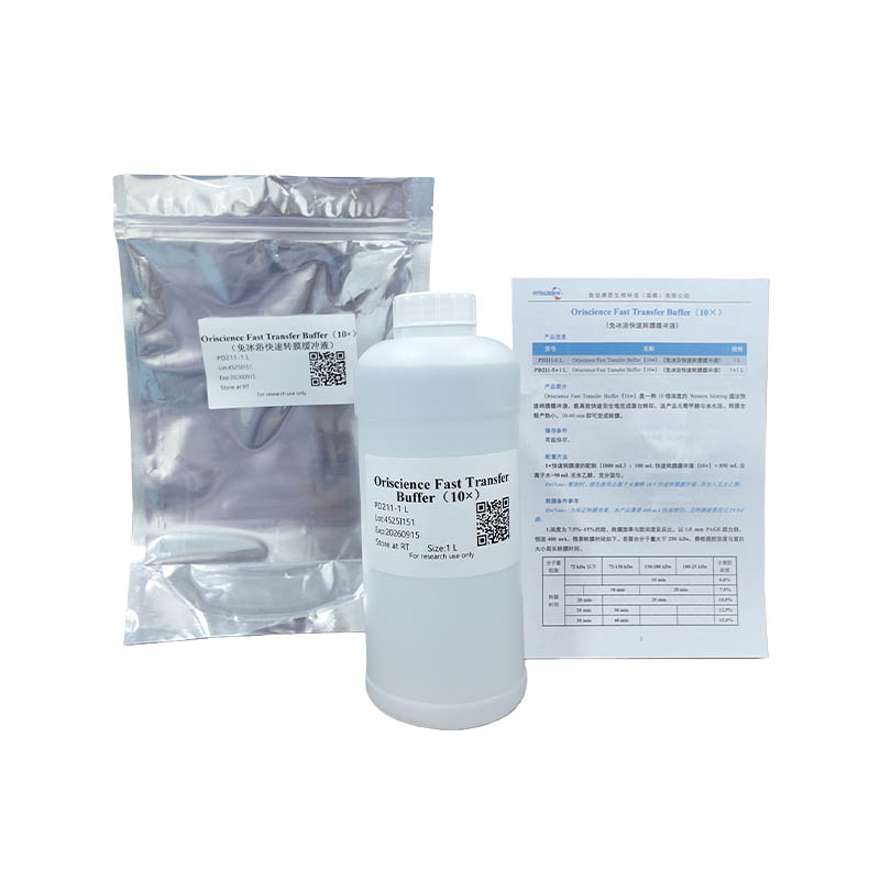 How does Fast Transfer Buffer revolutionize the efficiency and safety of Western blotting with its methanol-free formulation?